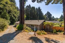 Redwood Beach Retreat - Hot Tub, Walk to Beach, 3 King beds! - Image 2