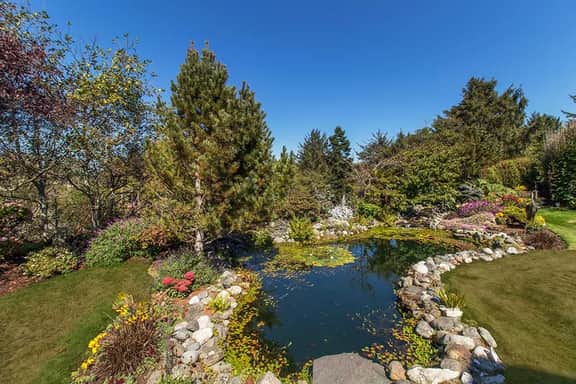 Garden Pond Retreat~Hot tub & Fire Pit! - Image 5